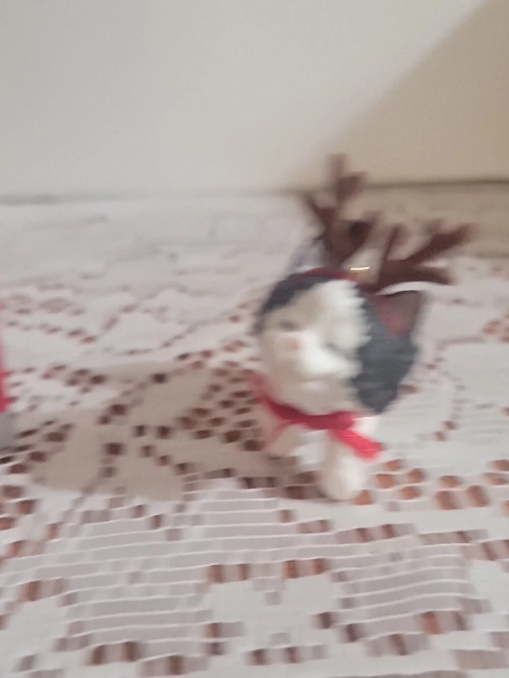 1998 Hallmark Keepsake Ornament 